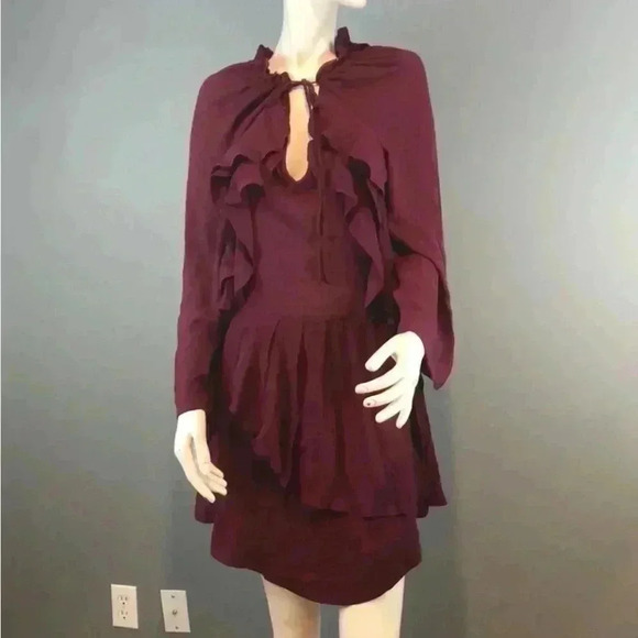 Ruffled Dress - Picture 12 of 17